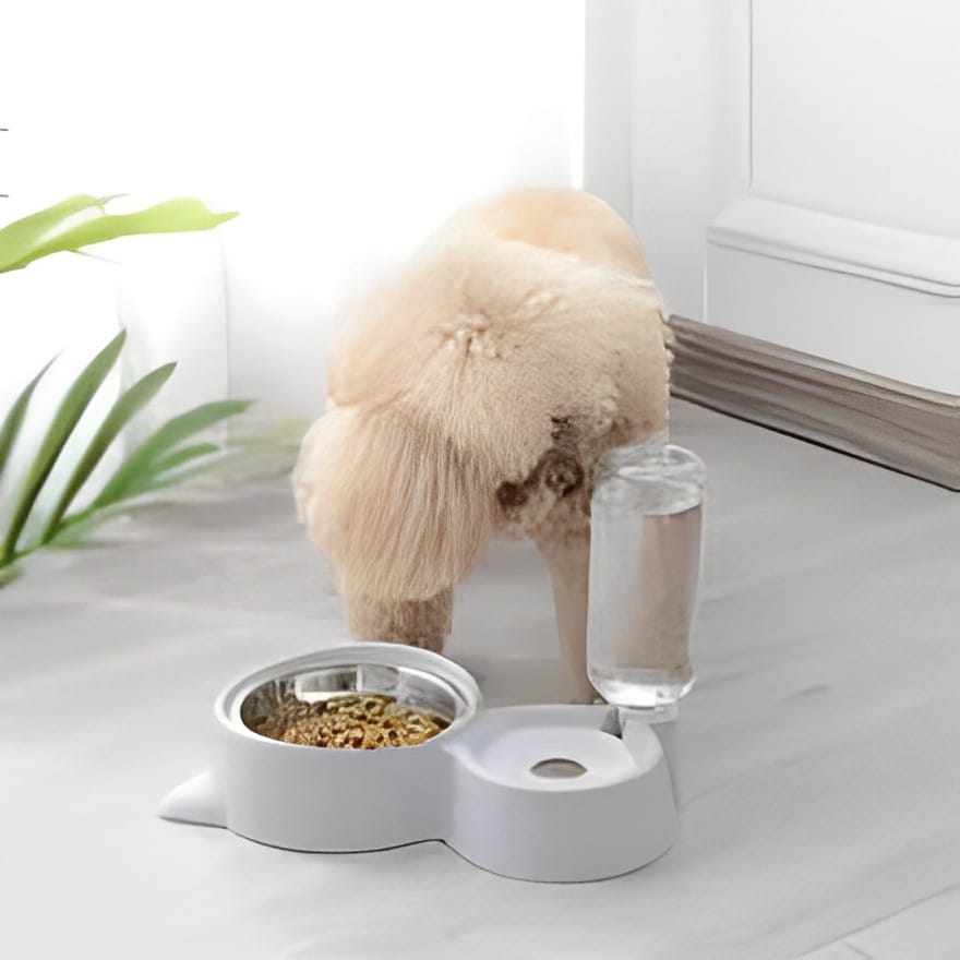 ™/Bebedero y Comedero Automático Mascotas